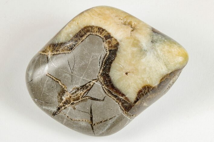 Wide, Polished Septarian Pebble - Utah #207821